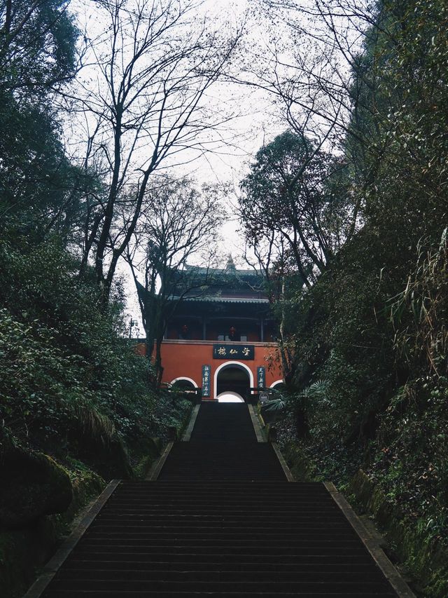 被嚴重低估的仙山
