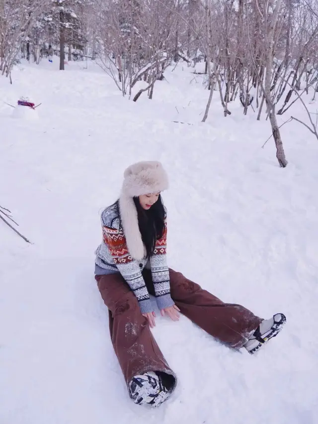 Harbin Snow Town: Enjoying the New Year.