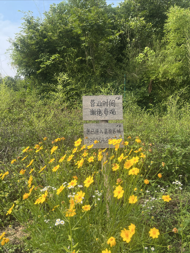端午都去這裡太美了