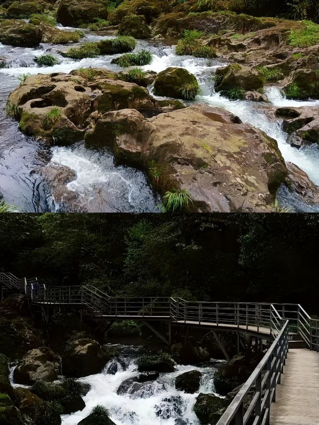 雅安龍苍溝疊翠溪風景區