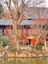 東平草堂：穿越時空的古韻之旅