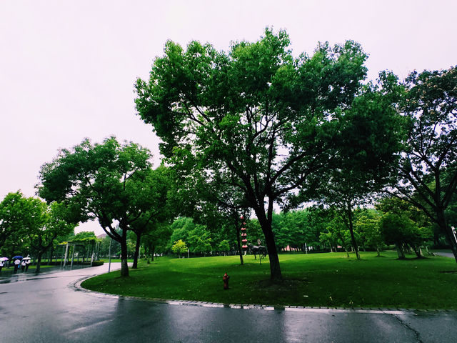 閔行文化公園｜梅雨瀟瀟瀝瀝，公園鬱鬱蔥蔥