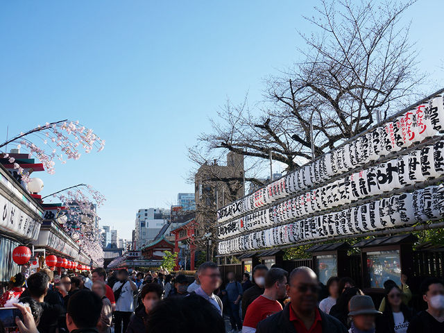 東京景點｜淺草寺 雷門