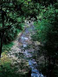 成都周邊2h，看猴子耍水輕徒步好去處