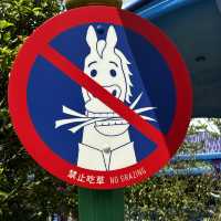 瘋狂動物城～上海迪士尼樂園新園區