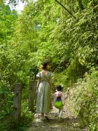 夏日避暑納涼好去處 | 來這個小眾森林秘境親子徒步玩水吧