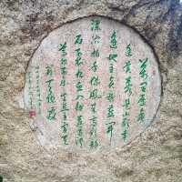 尋訪-韶城《叁拾玖》雨中漫步“西橋公園”