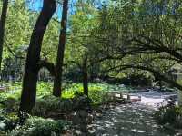 城市公園圖鑑：上海人民公園
