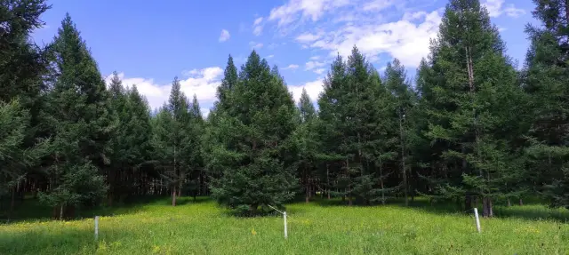 Go to the grasslands, forests, and lakes on the dam to escape the summer heat