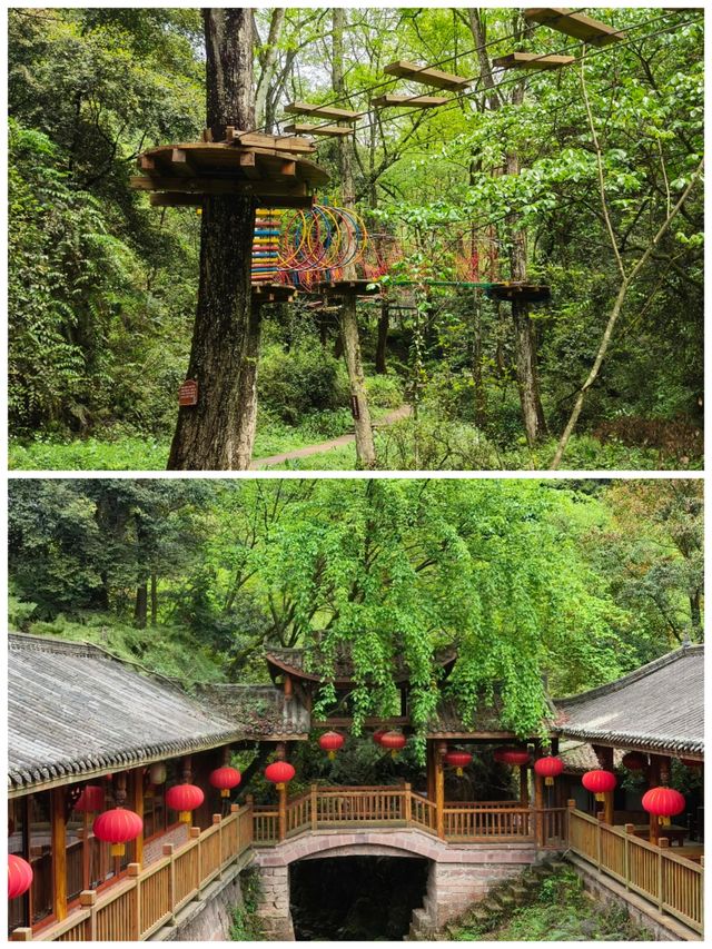 成都徒步-老峨山攻略||徒步探索自然之美