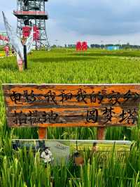 沈陽｜稻夢空間攻略