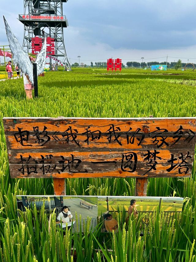 沈陽｜稻夢空間攻略