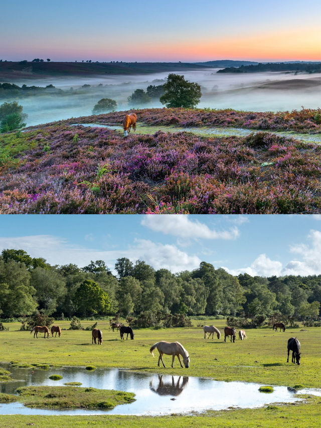  🚄 Scenic Wonders Around Southampton by Train 🍃