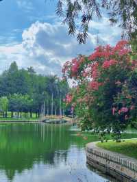公園20分鐘 | 廈門南湖公園遊園記