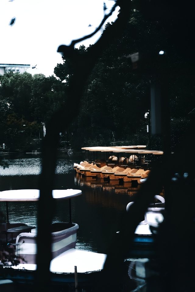 推薦景點打卡：川沙古鎮。