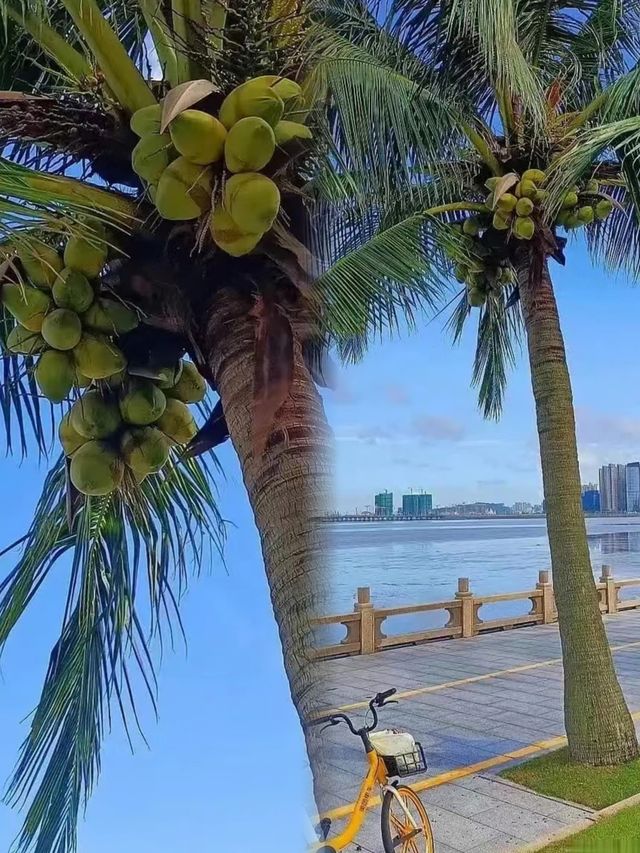 情侶路真的很漫長……。
