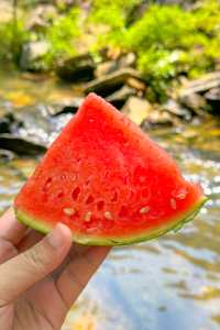 把握夏日尾聲，武漢周邊溯溪玩水好去處。