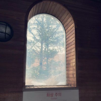 겨울에도 가는 워터파크 휘닉스파크 블루캐니언👙🤿