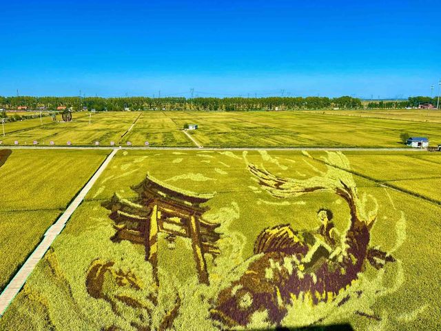 瀋陽市瀋北新區稻夢空間。