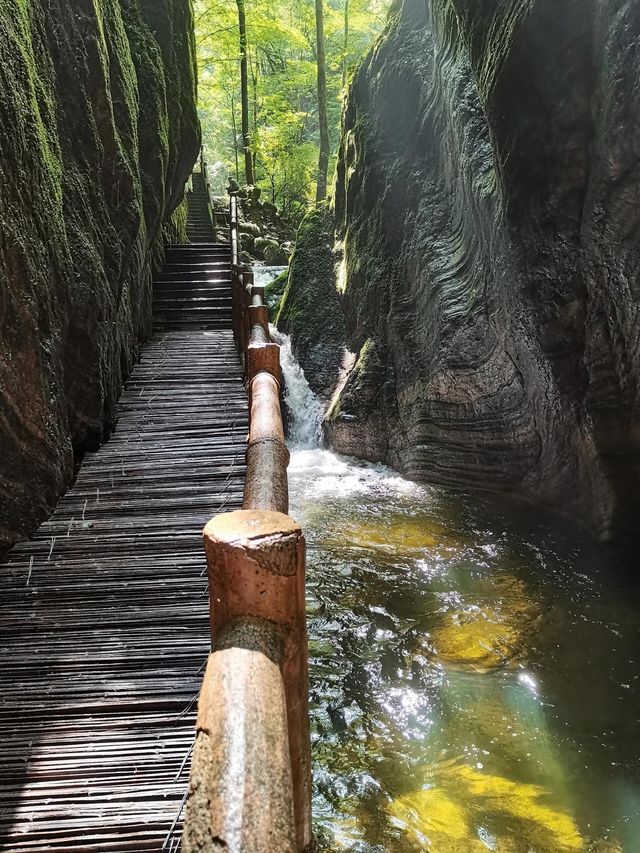 陝西牛背梁國家森林公園｜不愧是天然生態氧吧。