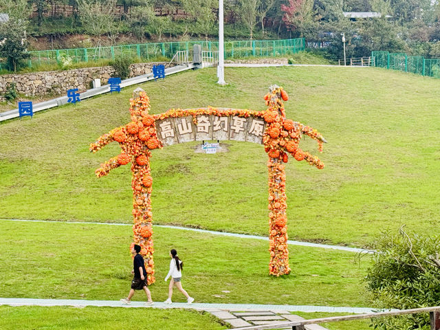 浙江安吉，四季皆宜的雲上草原。