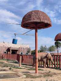 蘭州動物園，宛如一座隱藏在城市中的自然寶藏。