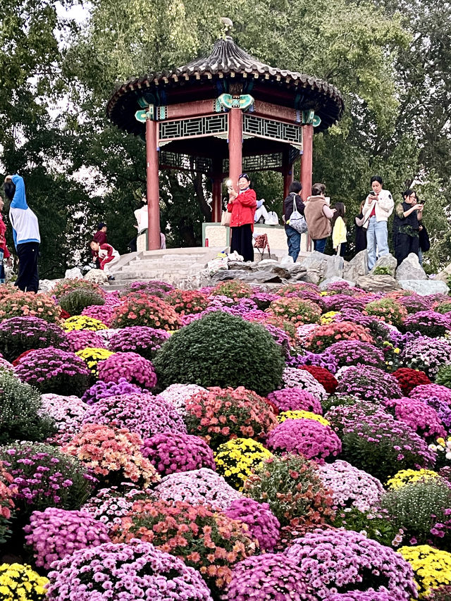 金秋遊園會 日壇公園 北京。