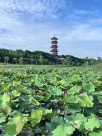 南昌！不推薦象湖公園你糊塗啊！！！。