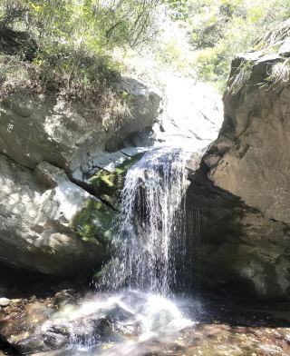 Pingli Peach Blossom Creek.