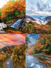 不愧是《國家地理》推薦光霧山秋景封神了。