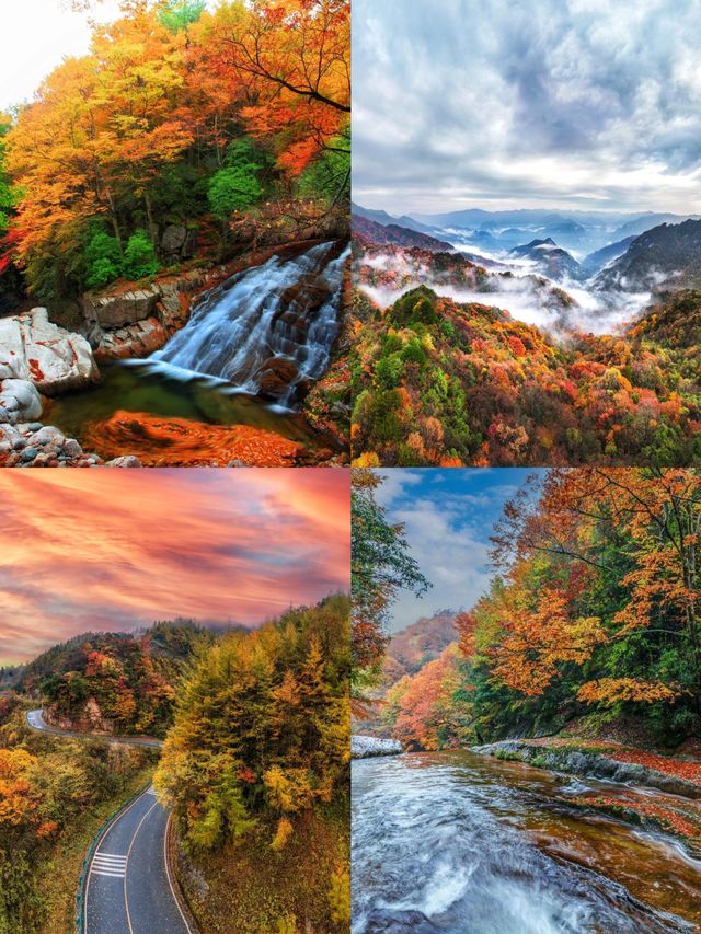 不愧是《國家地理》推薦光霧山秋景封神了。