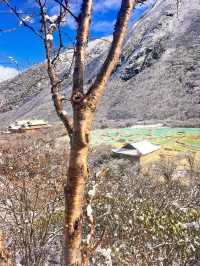 Exploring Huanglong Scenic Area: A Natural Wonder