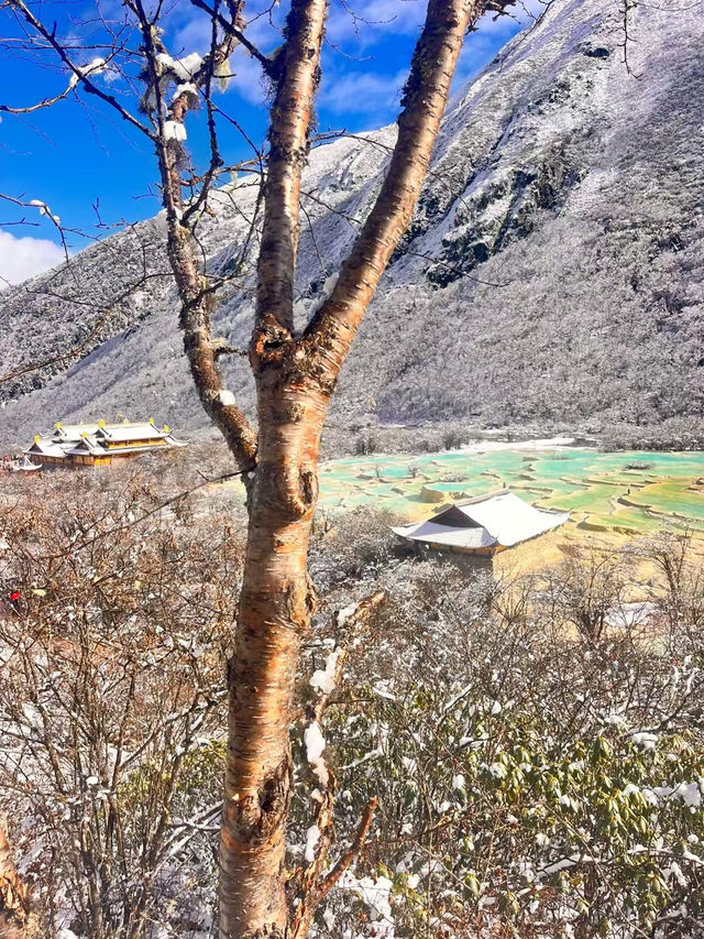 Exploring Huanglong Scenic Area: A Natural Wonder