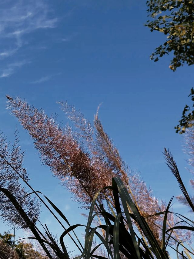 去宜興旅遊，不僅地方美還省錢。