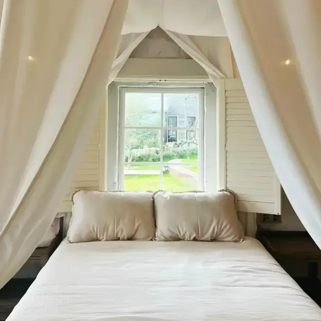 フーゾウ！ピンタン島！本当に素晴らしい滞在でした！感動で涙が出るほどです！！！。