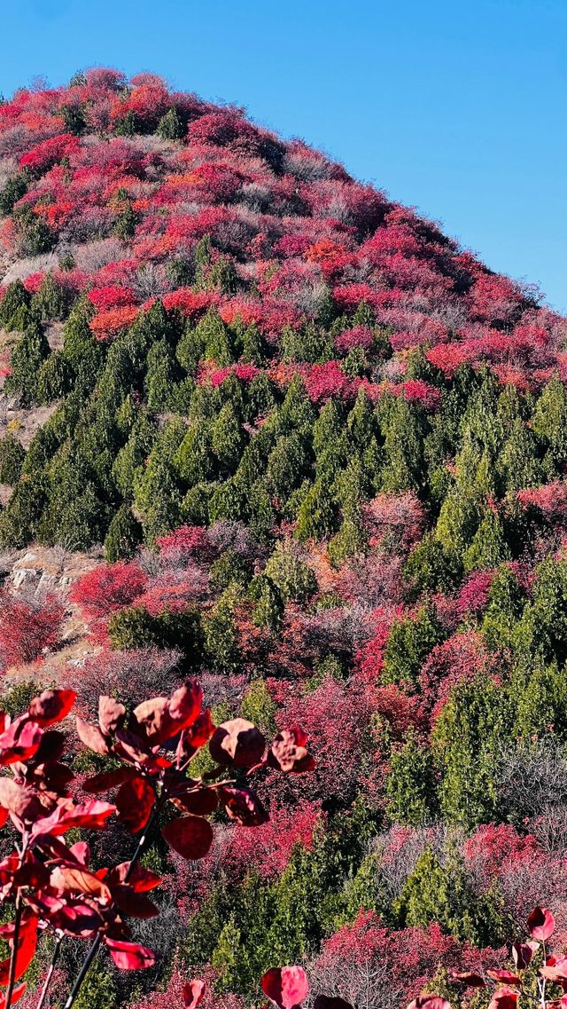 北京順義舞彩淺山。