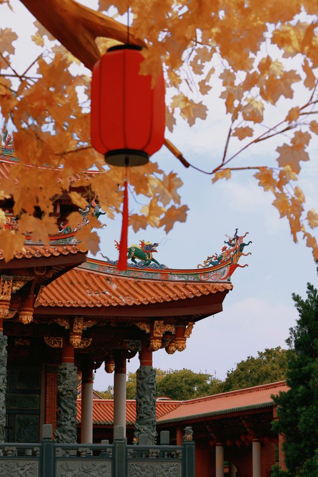 拍照絕絕子！足不出滬領略閩台風格媽祖廟！