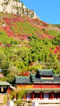 天啊！山東濟南還有這麼美的地方，秋日童話。