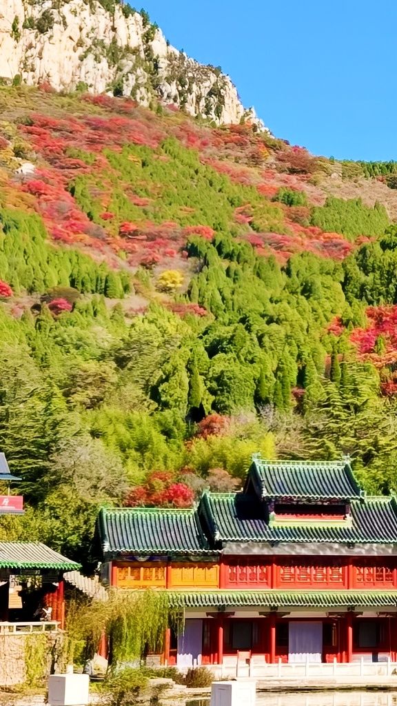 天啊！山東濟南還有這麼美的地方，秋日童話。