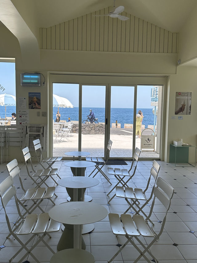 Discover the Top 10 Most Beautiful Cafes in Jeju Island