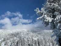 Skiing at Lake Tahoe: Everything You Need to Know