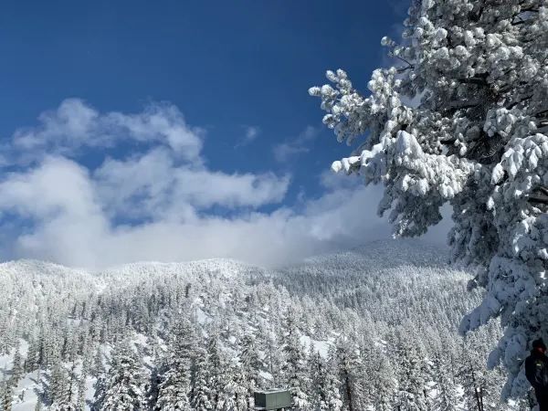 Skiing at Lake Tahoe: Everything You Need to Know