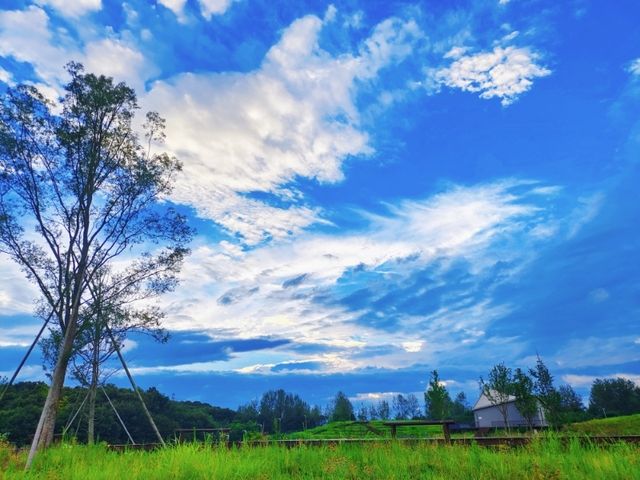 反向旅遊太爽了，一座遊客罕至的河南小城。