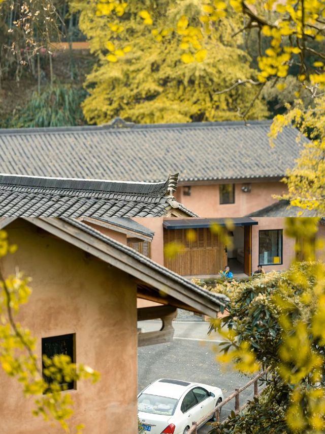 江西小眾旅行地  住進百年銀杏古村落。