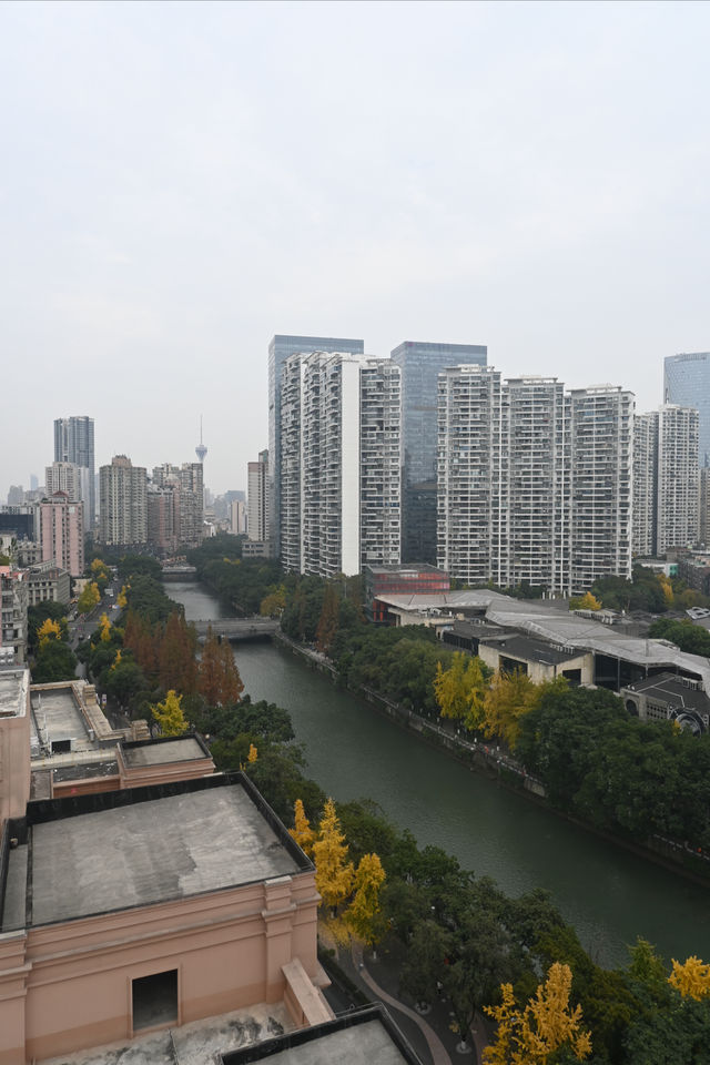 我的高空下午茶