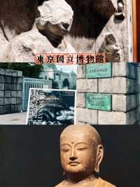 東京你不可錯過的歷史漫步之旅！國立博物館最強攻略！