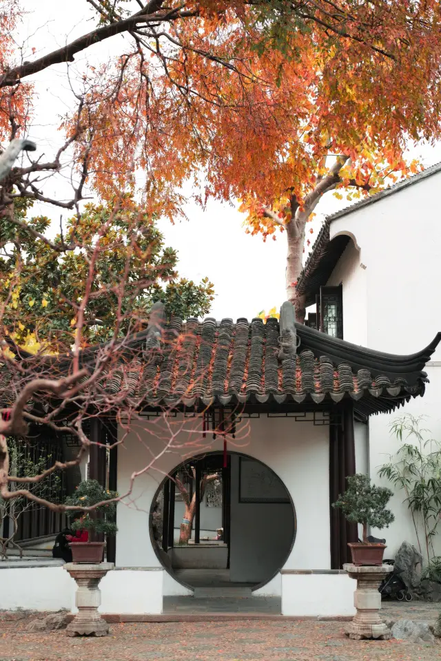 發現了蘇州的小眾園林人少景美特好逛！！