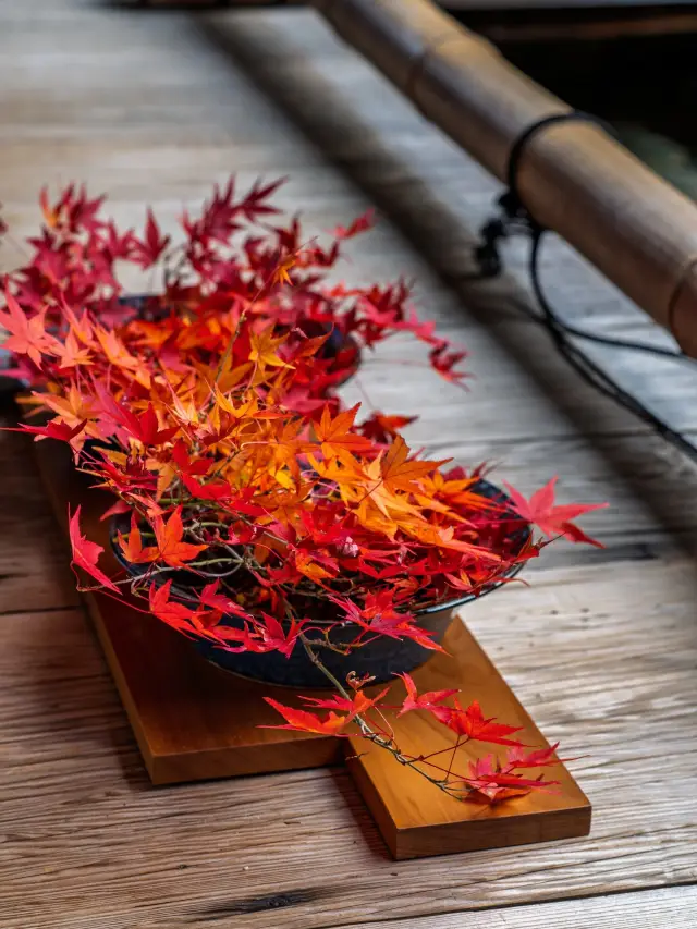 8-Day Japan Winter Travel Itinerary