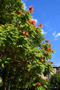 來雲南元謀，享受27℃的冬日暖陽