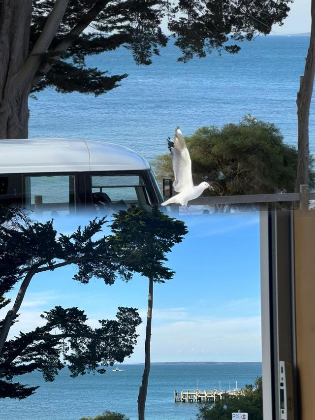 澳洲霍爾斯山谷旅遊攻略｜讓你秒變旅行達人